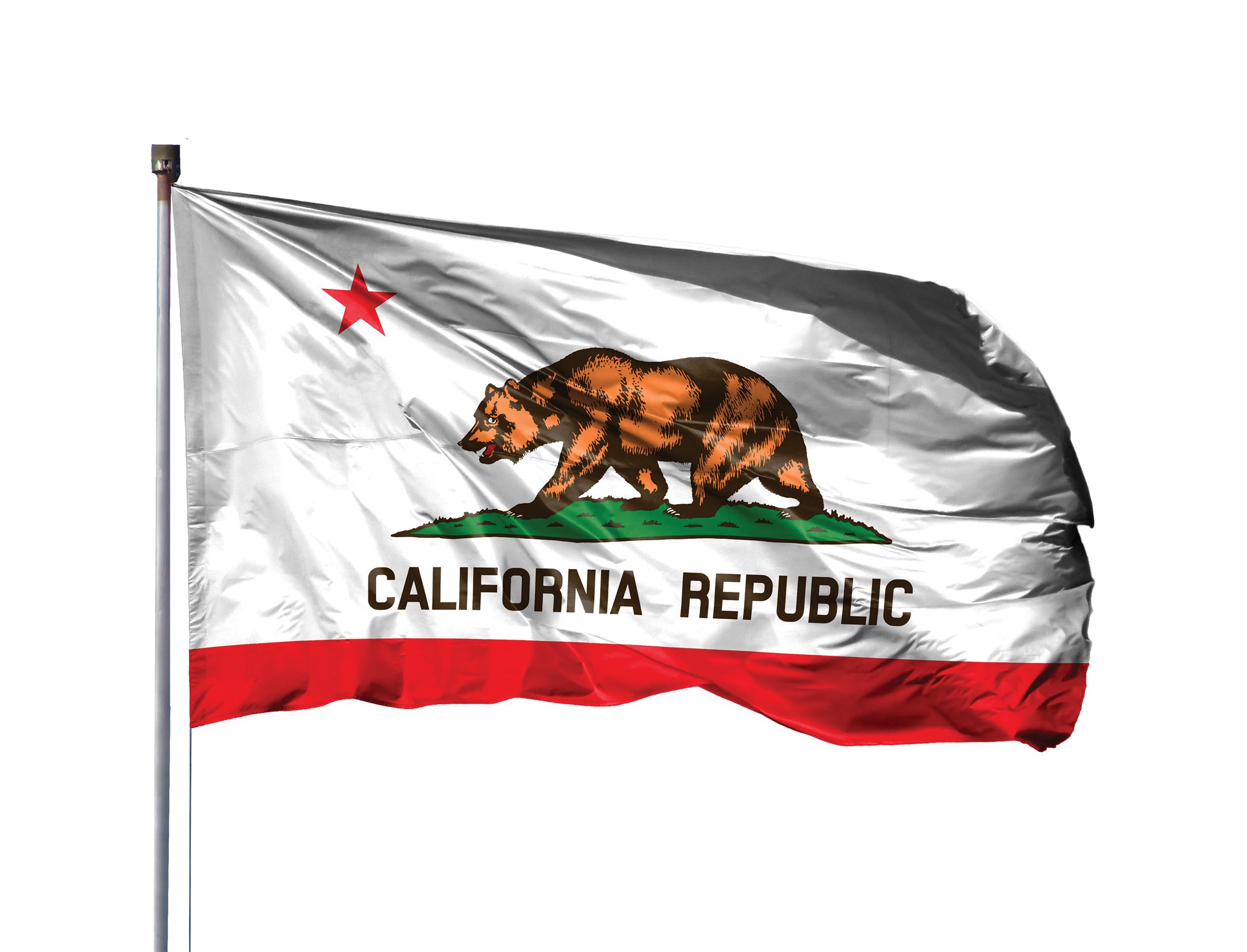 California state flag
